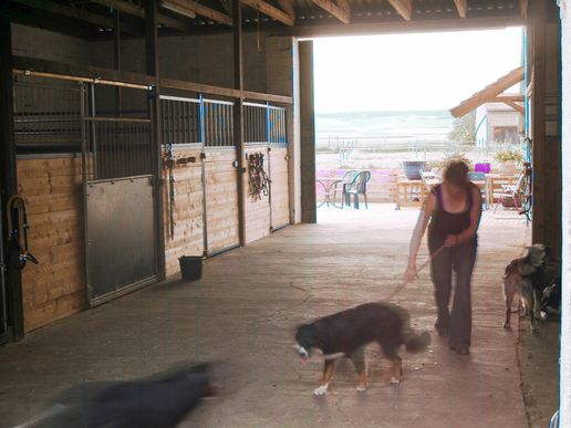 hunde-und-ranch-024.jpg