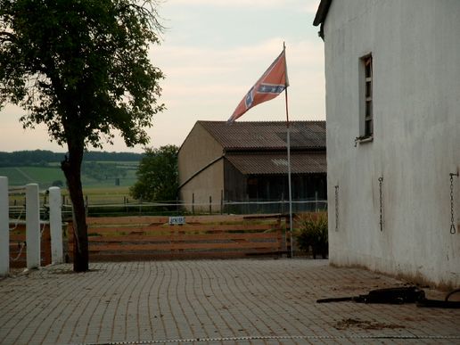 hunde-und-ranch-031.jpg